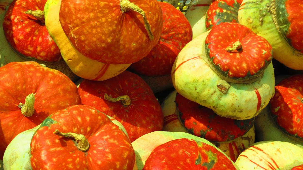 Cosmopolita Rojo * La Serena